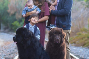 Amerykańska rodzina uruchomiła największy nyank